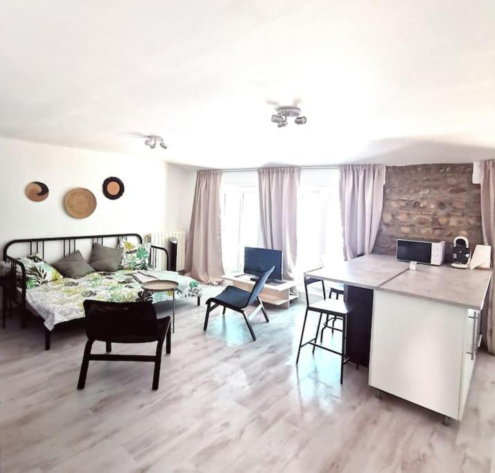 Sainte-Foy-lès-Lyon Studio Coquet Avec Vue מראה חיצוני תמונה